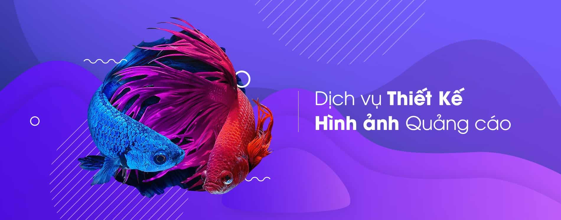 Background banner đẹp độc đáo ấn tượng và nét nhất